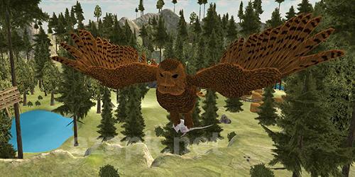 Flying owl simulator 3D