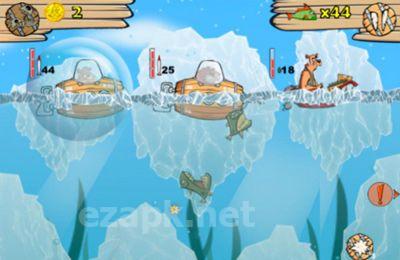 Stop Those Fish