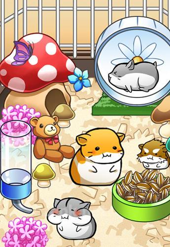 Hamster life