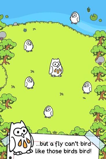 Birds evolution: Clicker game