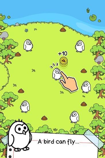 Birds evolution: Clicker game