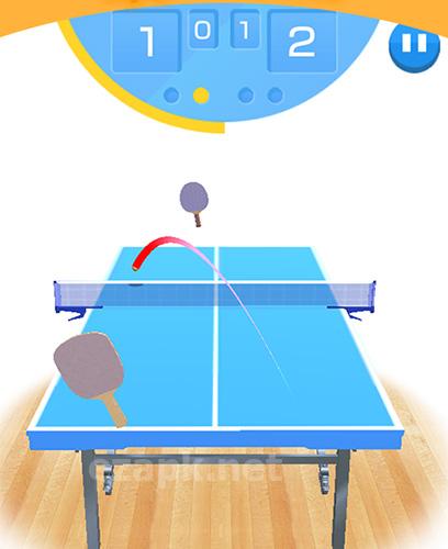 Table tennis 3D virtual world tour ping pong Pro