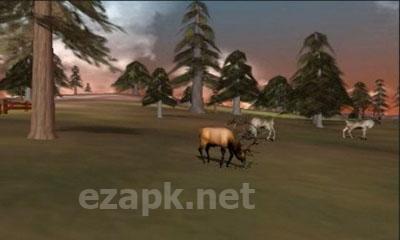 3D Hunting: Trophy Whitetail
