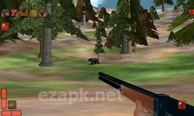 3D Hunting: Trophy Whitetail