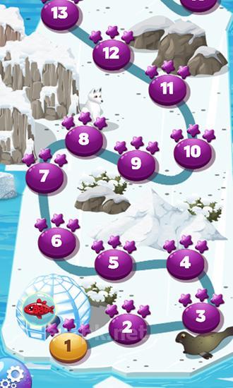 Frozen Antarctic: Penguin