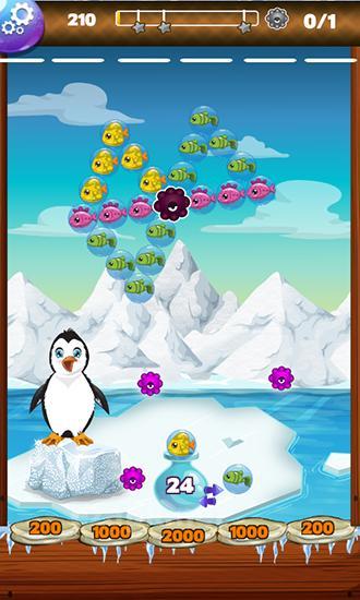 Frozen Antarctic: Penguin