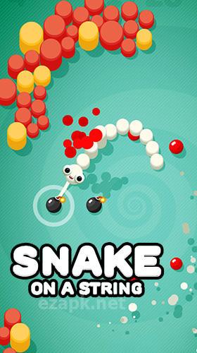 Snake on a string