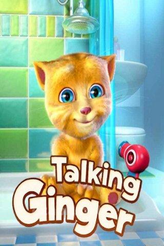 Talking Ginger