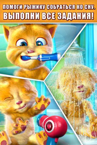 Talking Ginger