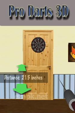 Pro Darts 3D