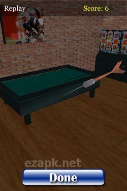 Pro Darts 3D