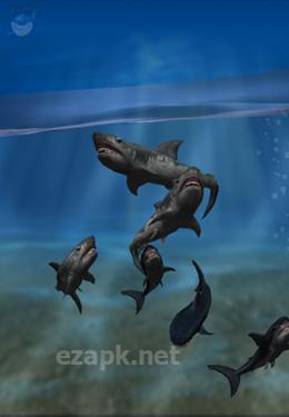 Shark Fingers! 3D Interactive Aquarium