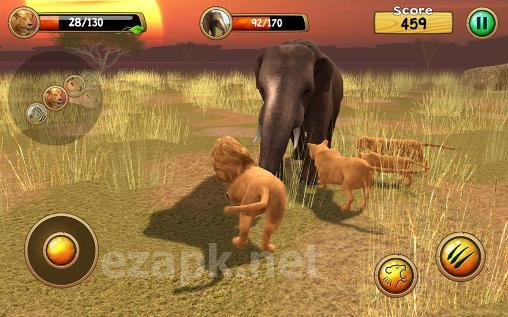 Wild lion simulator 3D