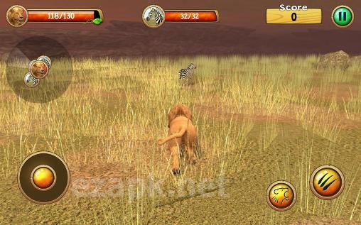 Wild lion simulator 3D
