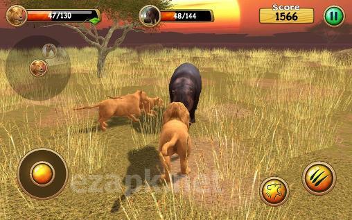 Wild lion simulator 3D