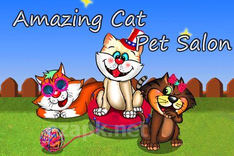 Amazing cat: Pet salon