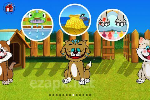 Amazing cat: Pet salon