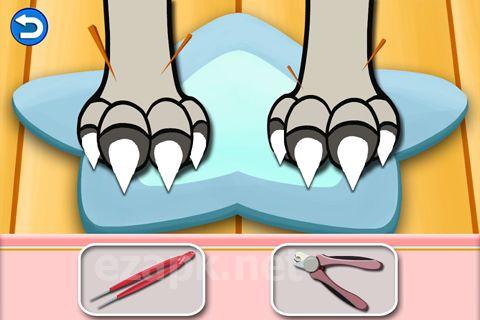 Amazing cat: Pet salon