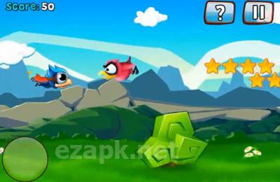 Bird Mania