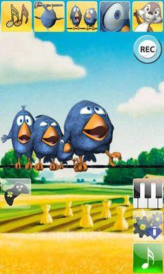 Talking Birds On A Wire