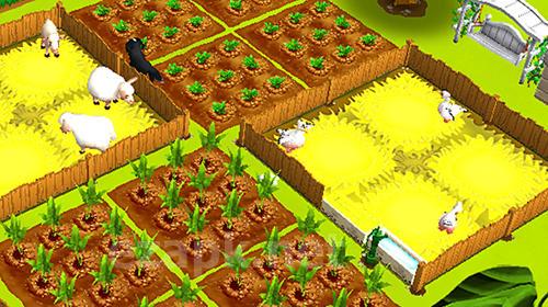 Horse farm