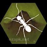 Finally ants