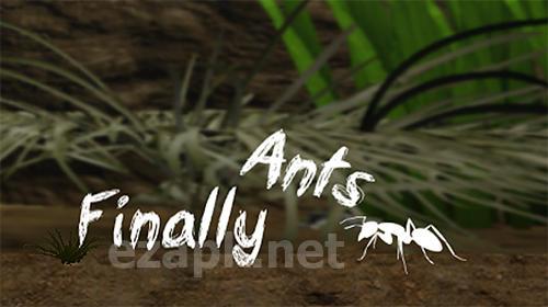 Finally ants