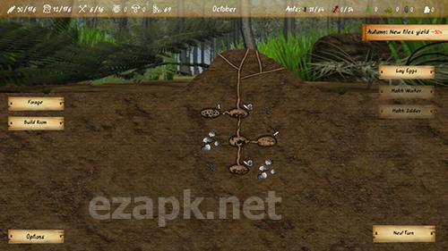 Finally ants
