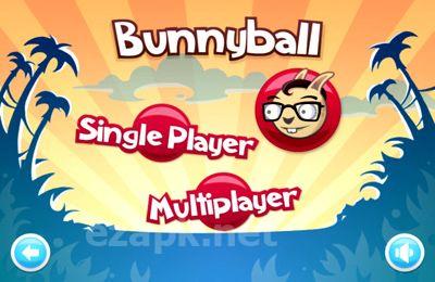 Arcade BunnyBall