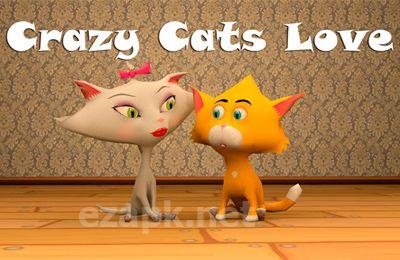 Crazy Cats Love