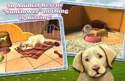 PetWorld 3D: My Animal Rescue