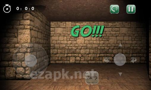 Maze mania 3D: Labyrinth escape