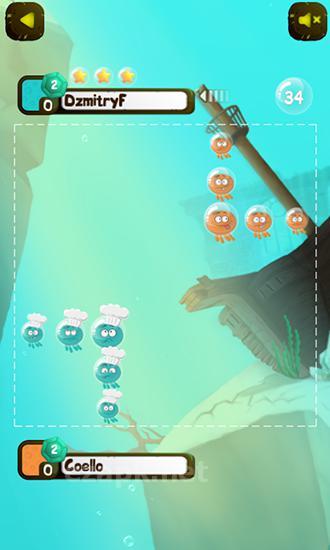 Octopus battle