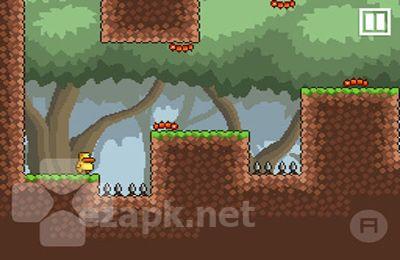 Gravity Duck