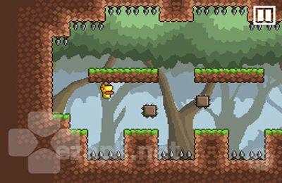 Gravity Duck