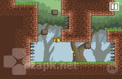 Gravity Duck