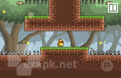 Gravity Duck