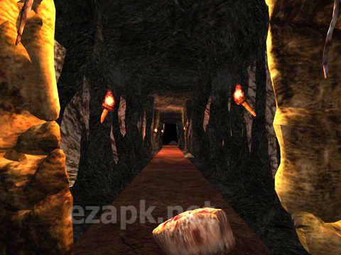 Den run 3D