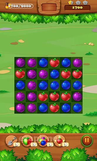 Juice jelly fruits blast