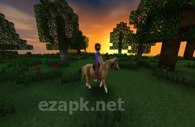 Survivalcraft