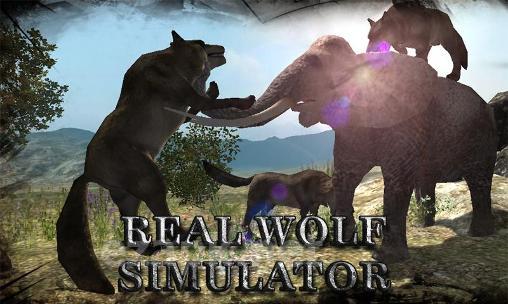 Real wolf simulator