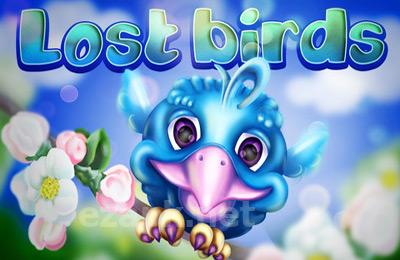 Lost Birds