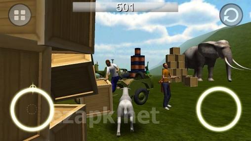 Goat rampage