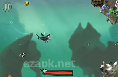 Reef Run