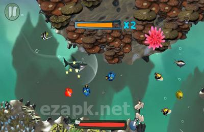 Reef Run