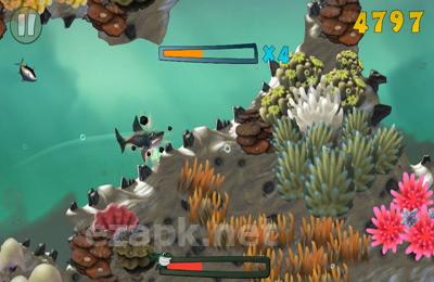 Reef Run