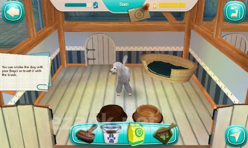 Dog hotel: My boarding kennel
