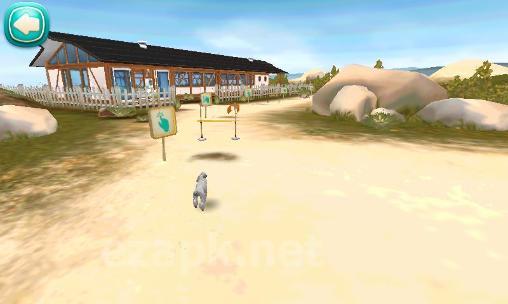 Dog hotel: My boarding kennel