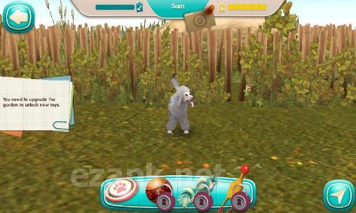 Dog hotel: My boarding kennel