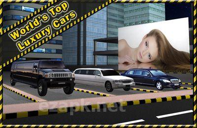 Limousine Parking 3D